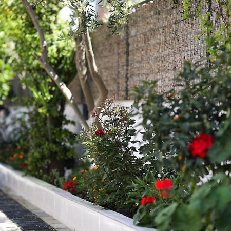 Vila Feliz - Premium Rooms With Free Private Parking Vlorë Exteriér fotografie