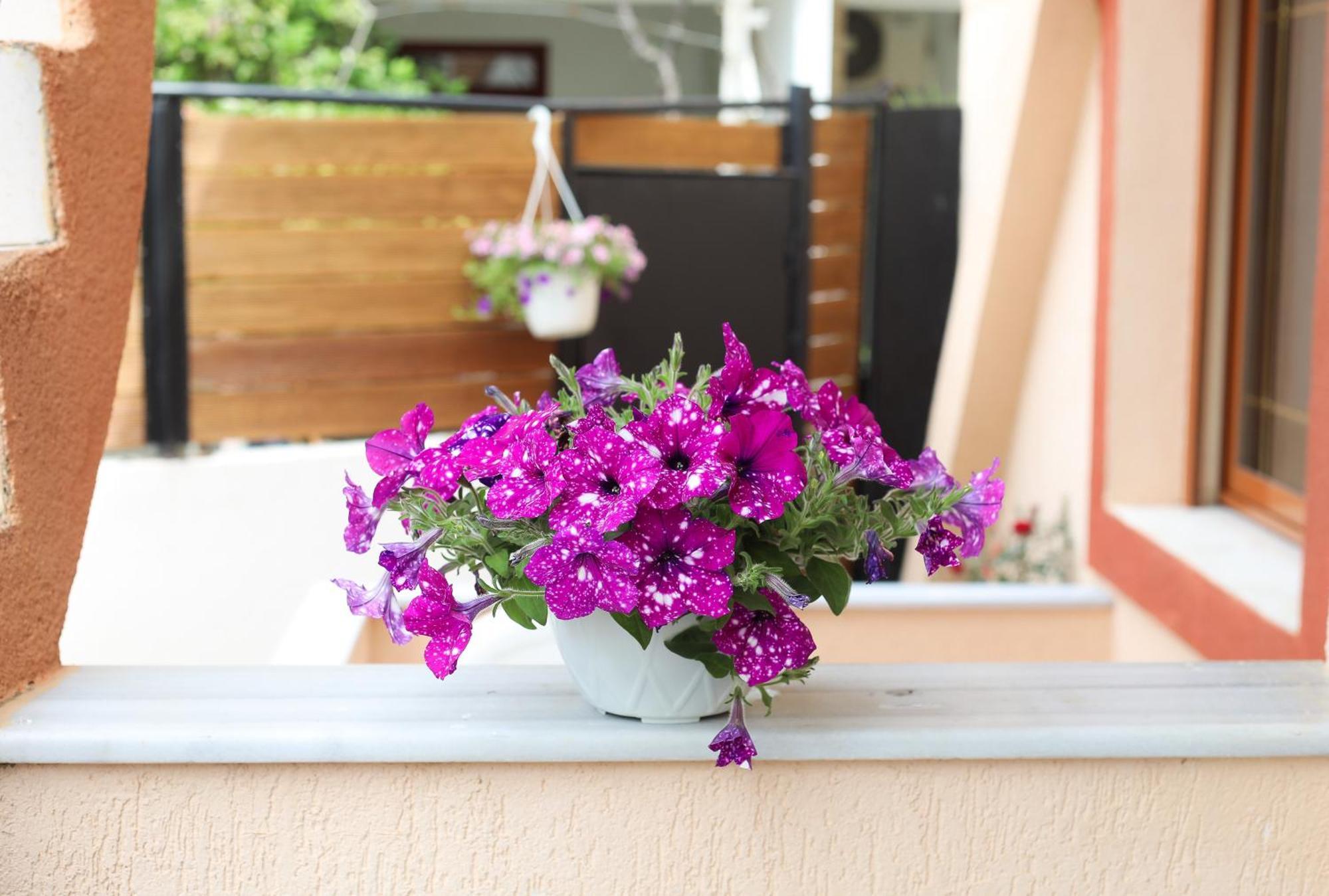 Vila Feliz - Premium Rooms With Free Private Parking Vlorë Exteriér fotografie