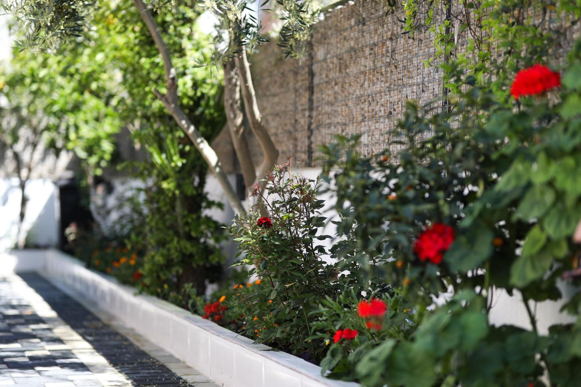 Vila Feliz - Premium Rooms With Free Private Parking Vlorë Exteriér fotografie
