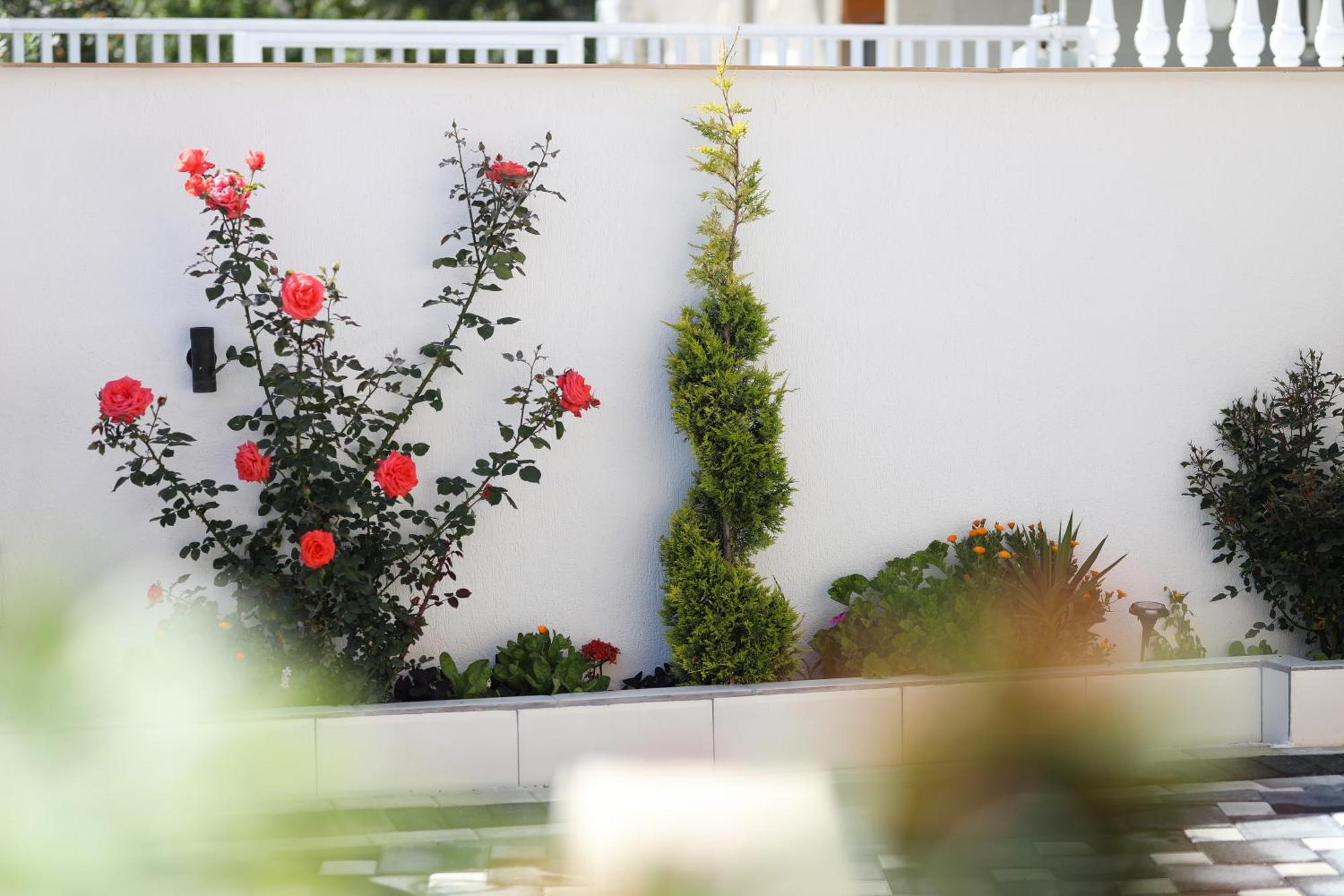 Vila Feliz - Premium Rooms With Free Private Parking Vlorë Exteriér fotografie